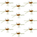 Barbless Pat's Rubber Legs Tungsten Bead Jigged Coffee/Tan Euro Nymph  - Set of 12 Flies Hook Size 10