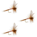 3 Pack Pink Lady Classic Dry Fly - Size 16