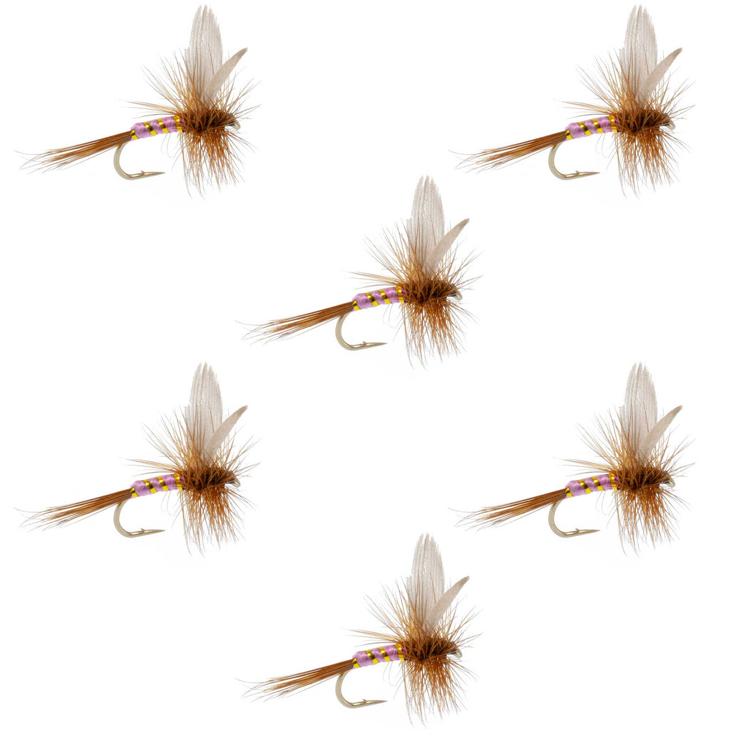 Pink Lady Classic Dry Fly - 6 Flies Size 16