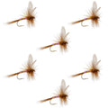 Pink Lady Classic Dry Fly - 6 Flies Size 16