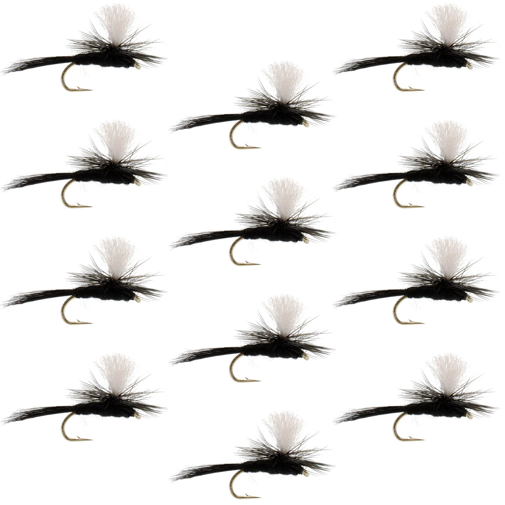 Parachute Black Gnat Classic Dry Fly - 12 Flies Size 12