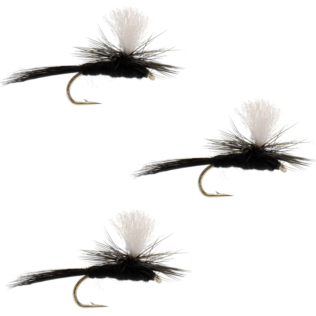 3 Pack Parachute Black Gnat Classic Dry Fly - Size 16
