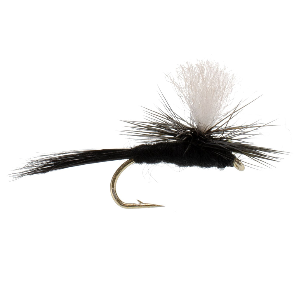 Parachute Black Gnat Classic Dry Fly - 6 Flies Size 16