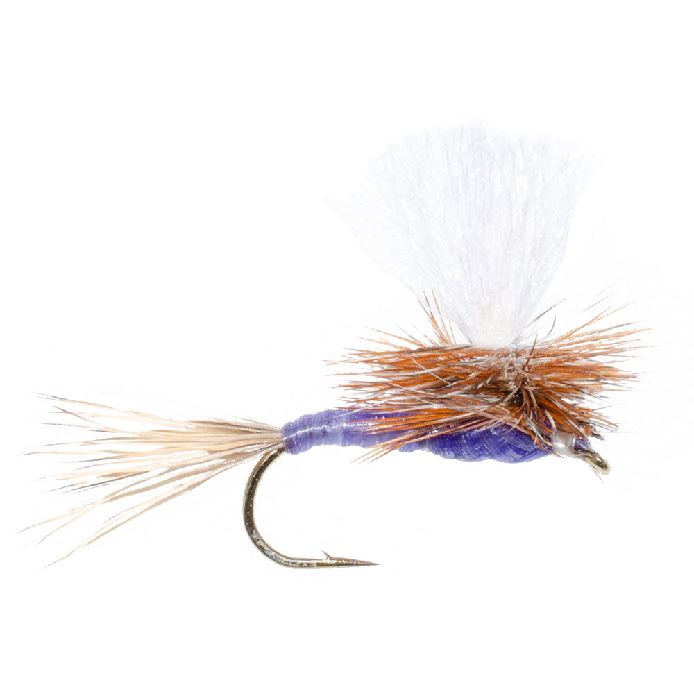 3 Pack Parachute Purple Haze Dry Fly - Size 16