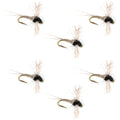 Z-Lon Wing Trico Spinner Kapok Body Hook 6 Flies Size 24