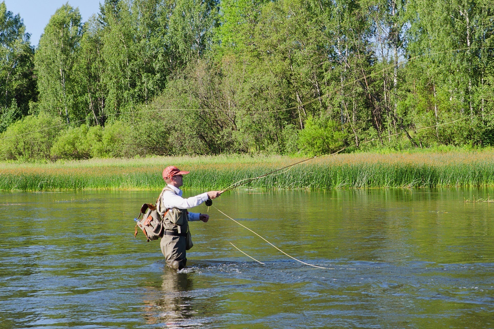 Renegade Classic Trout Dry Fly 12 Flies Hook Size 16