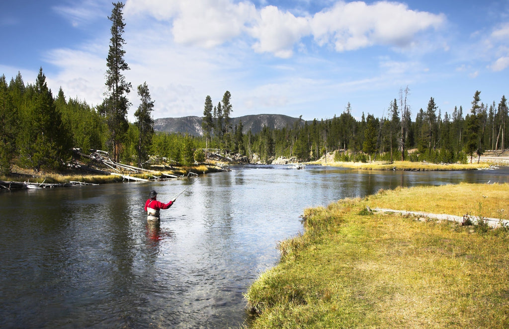 CDC Loop Wing Adams Emerger Fly 6 Flies - Hook Size 14