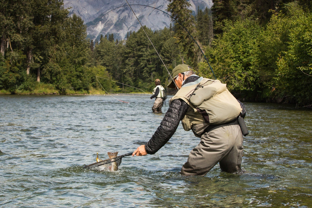 3 Pack Barbless Bead Head Gold Ribbed Hare's Ear Nymph Flies Hook Size 12