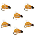 LaFontaine Amber Deep Sparkle Caddis Pupa - 6 Flies Hook Size 14