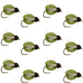 LaFontaine Olive Deep Sparkle Caddis Pupa - 1 Dozen Flies Hook Size 18