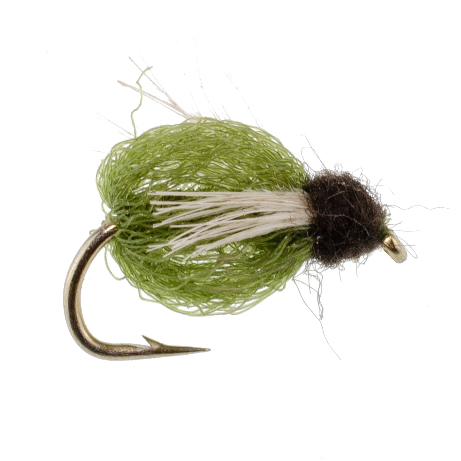 LaFontaine Olive Deep Sparkle Caddis Pupa - 6 Flies Hook Size 12