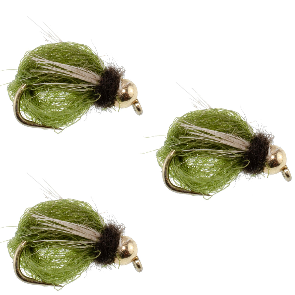 3 Pack LaFontaine Olive Deep Sparkle Caddis Pupa - Hook Size 18
