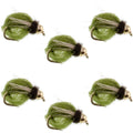 LaFontaine Olive Deep Sparkle Caddis Pupa - 6 Flies Hook Size 16