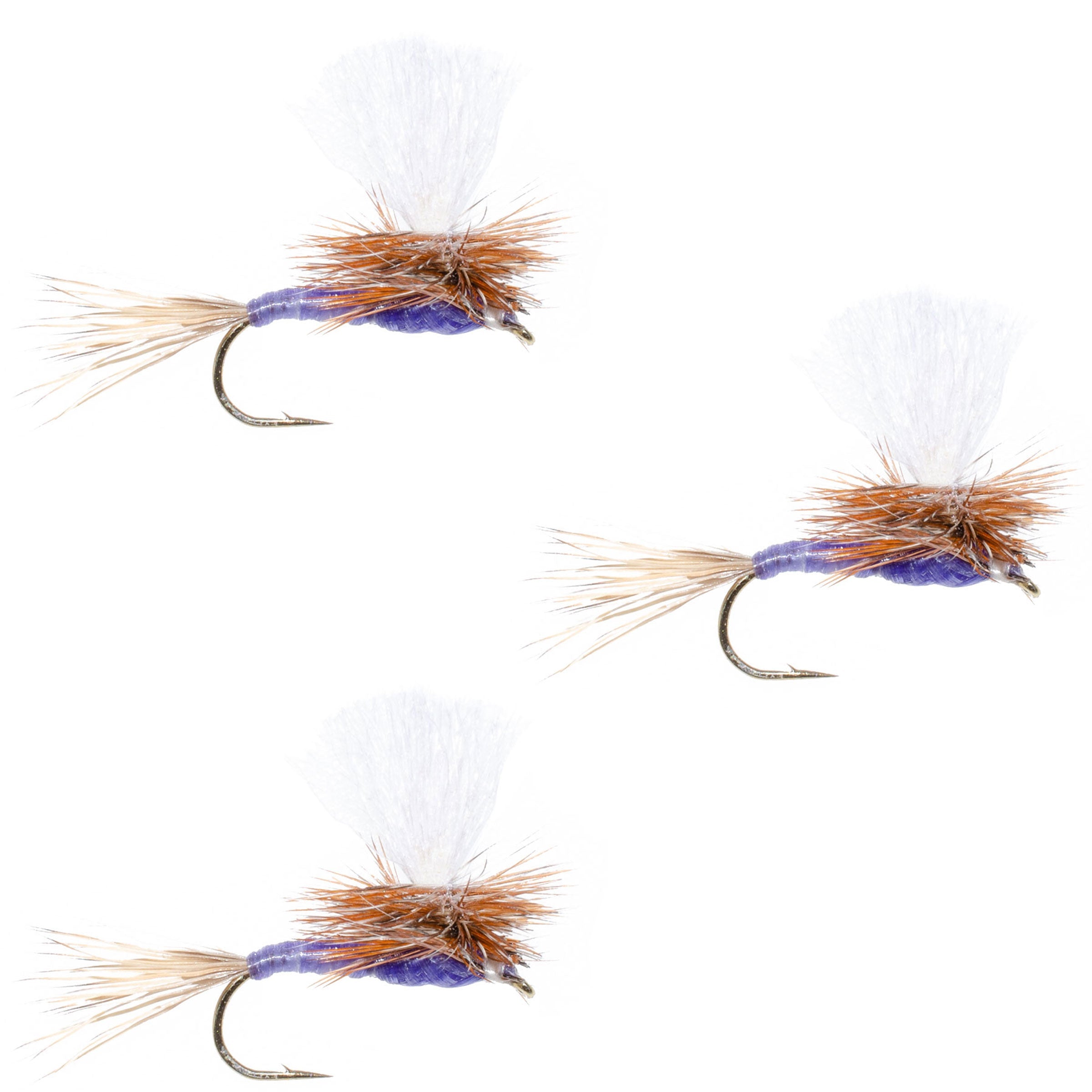 3 Pack Parachute Purple Haze Dry Fly - Size 18