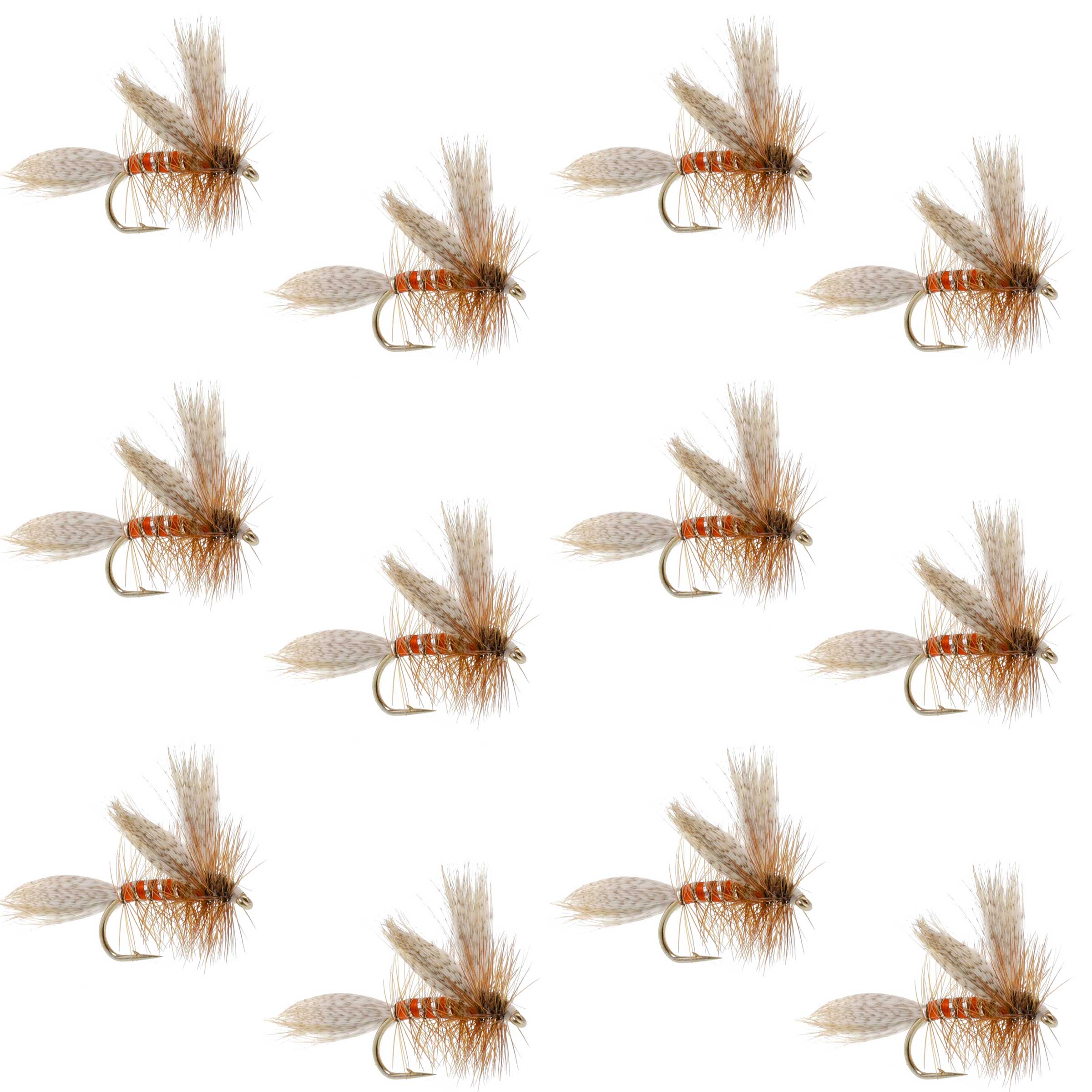 Queen Of The Waters Classic Dry Fly - 12 Flies Size 12