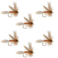 Queen Of The Waters Classic Dry Fly - 6 Flies Size 14