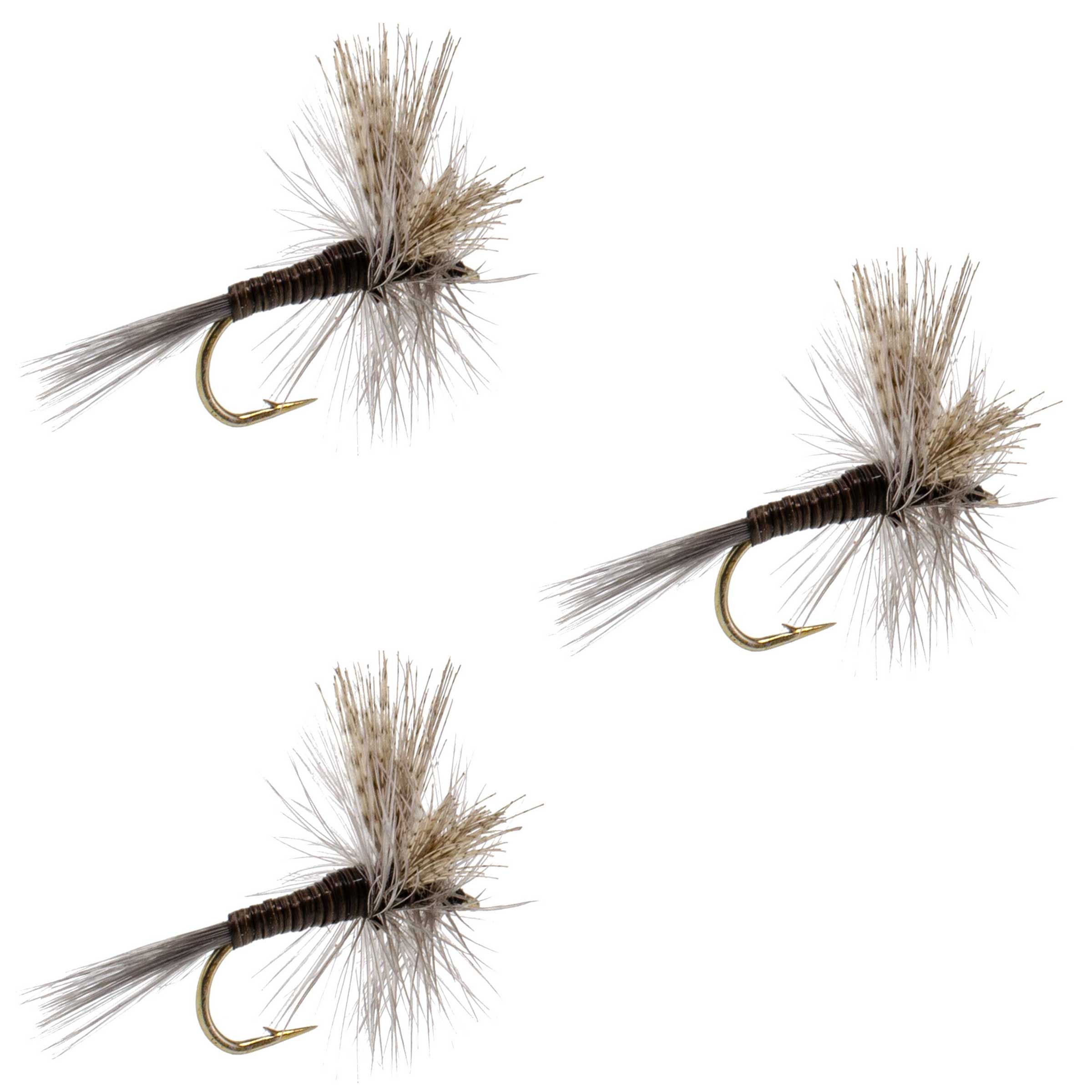 3 Pack Quill Gordon Classic Dry Fly - Size 18