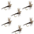 Quill Gordon Classic Dry Fly - 6 Flies Size 16 (Copy)