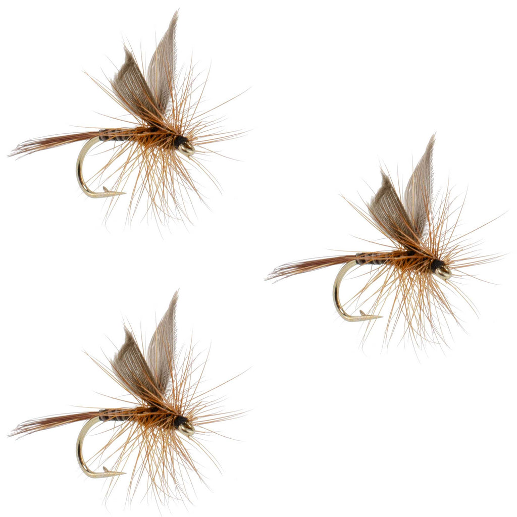 3 Pack Red Quill Classic Dry Fly - Size 18