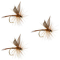 3 Pack Red Quill Classic Dry Fly - Size 12
