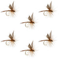 Red Quill Classic Dry Fly - 6 Flies Size 16