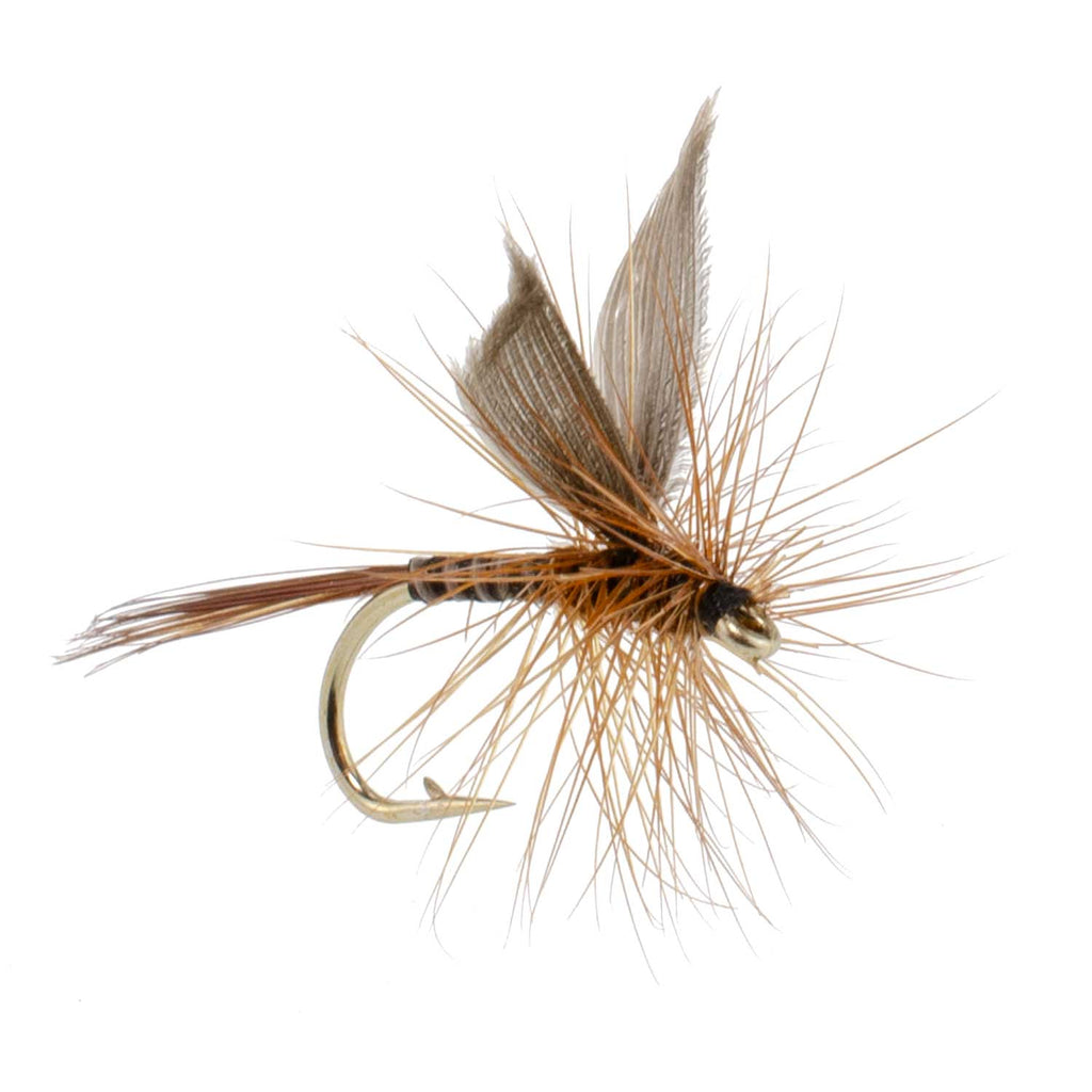 Red Quill Classic Dry Fly - 6 Flies Size 16