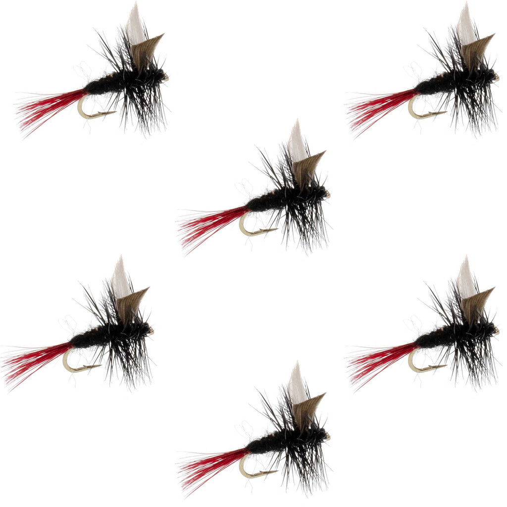 Red-Tailed Black Gnat Classic Dry Fly - 6 Flies Size 18