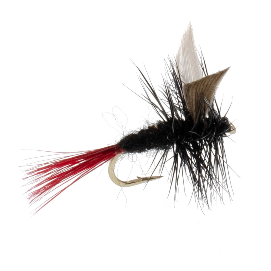 3 Pack Red-Tailed Black Gnat Classic Dry Fly - Size 16