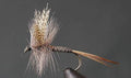 Red Quill