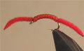 San Juan Worm - 4 Colors