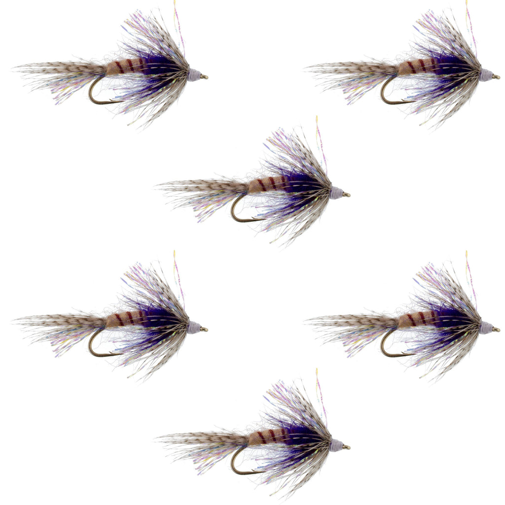 Purple Shakey Bealy Fall Soft Hackle Wet Fly - 6 Flies Hook Size 10