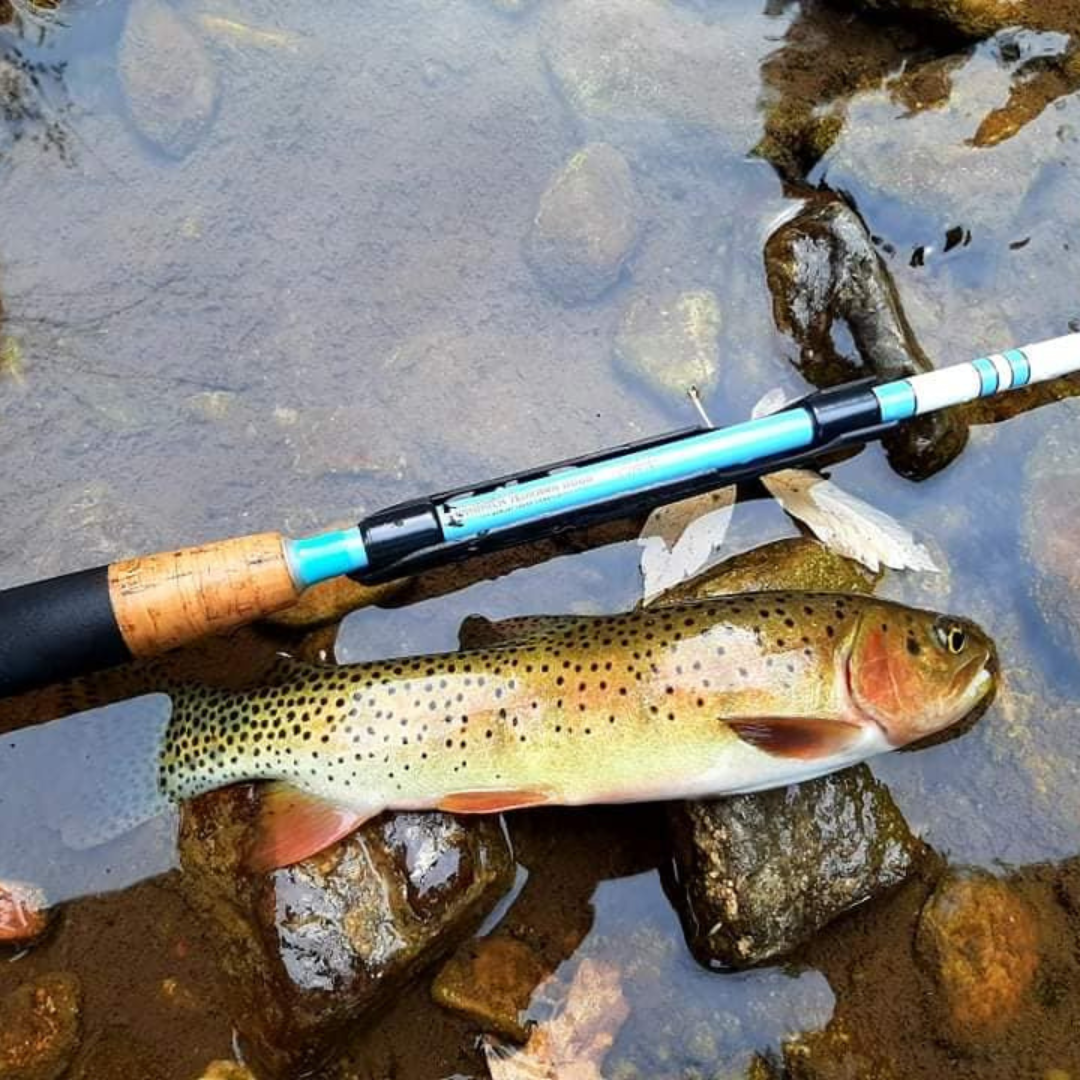 Maruki Sharpshooter Triple-Zoom Tenkara Rod