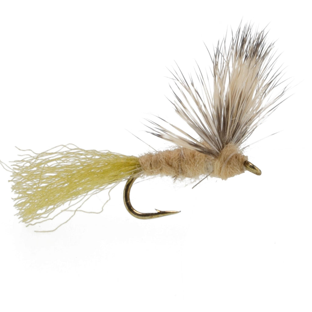 Sparkle Dun Callibaetis Mayfly - 6 Flies Hook size 16