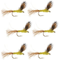 Sparkle Dun Pale Morning Dun PMD Yellow Body Mayfly 6 Flies Hook size 16