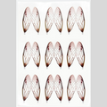 Surface Seducer® Cicada Wings