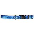 Tarpon Dog Collar