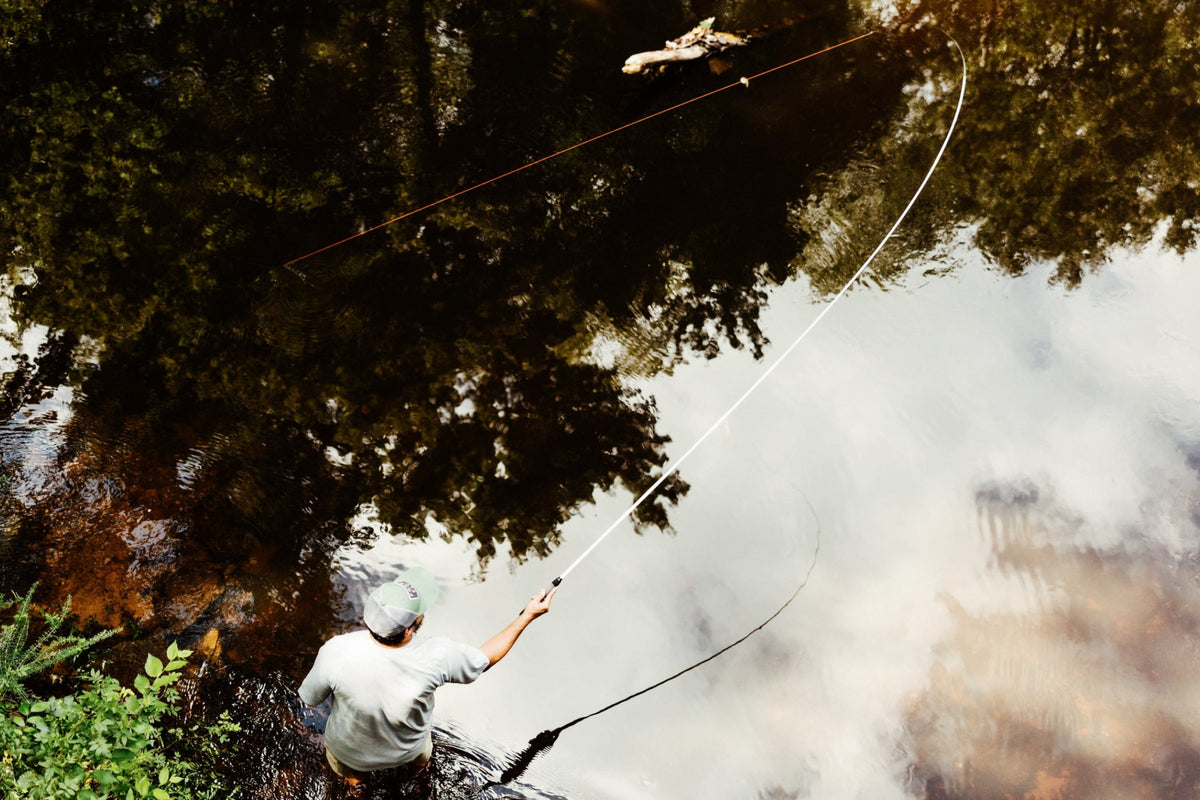 HANE™  10ft10in (330cm)