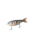 "Tilapia" Metro Glide LT