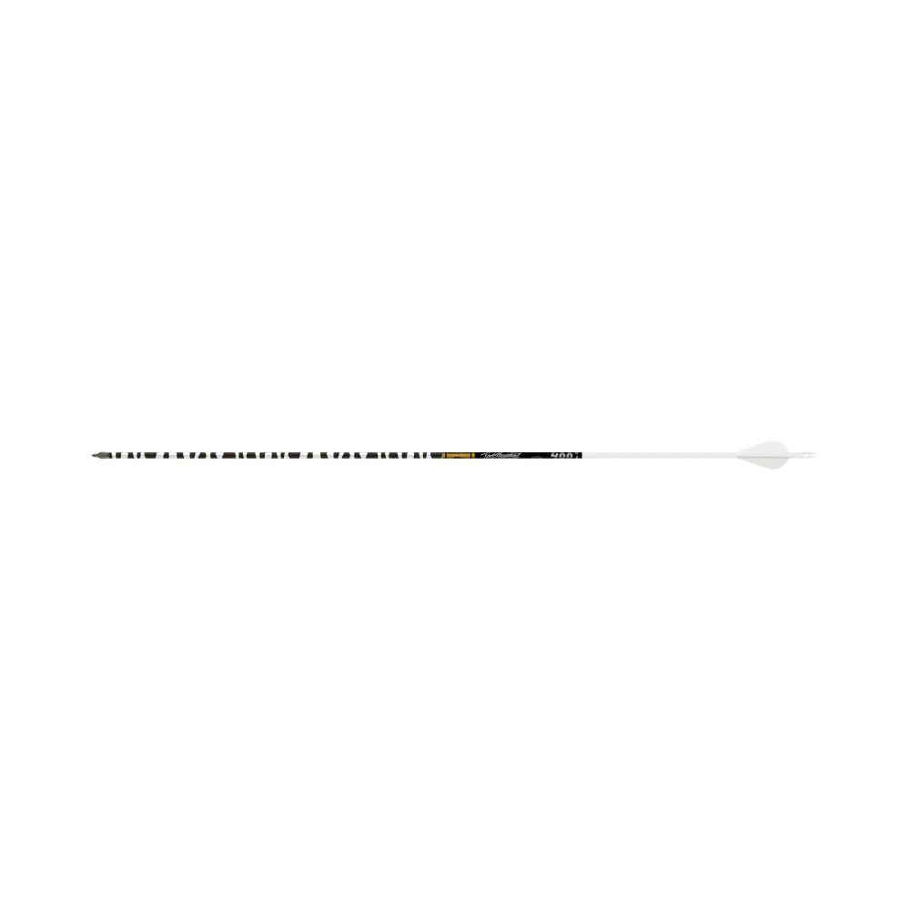 Gold Tip Pierce Ted Nugent .246