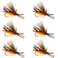 West Fork Salmonfly Stone - Stonefly Dry Fly - 6 Flies Hook Size 6