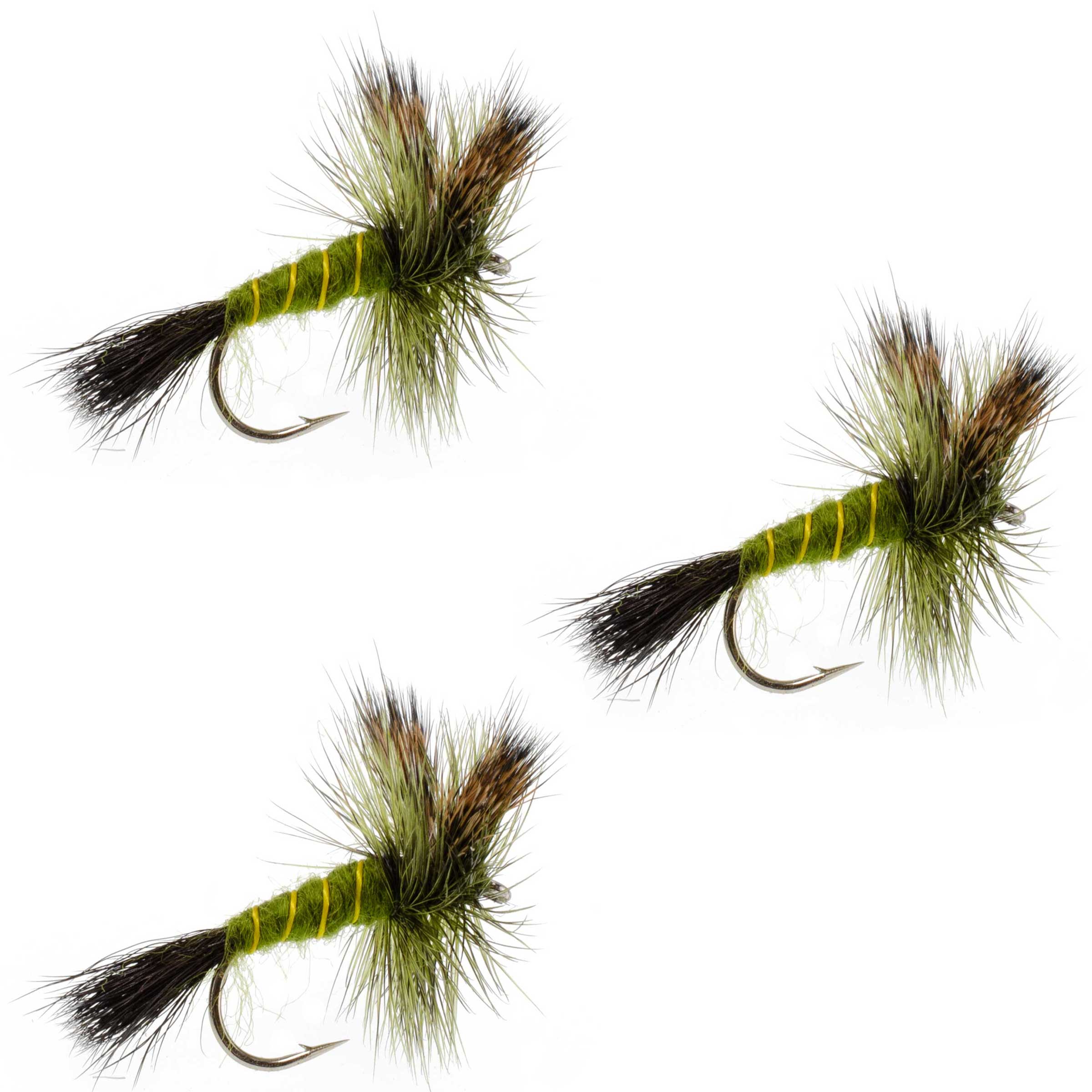 3 Pack Western Green Drake Dry Fly - Size 8