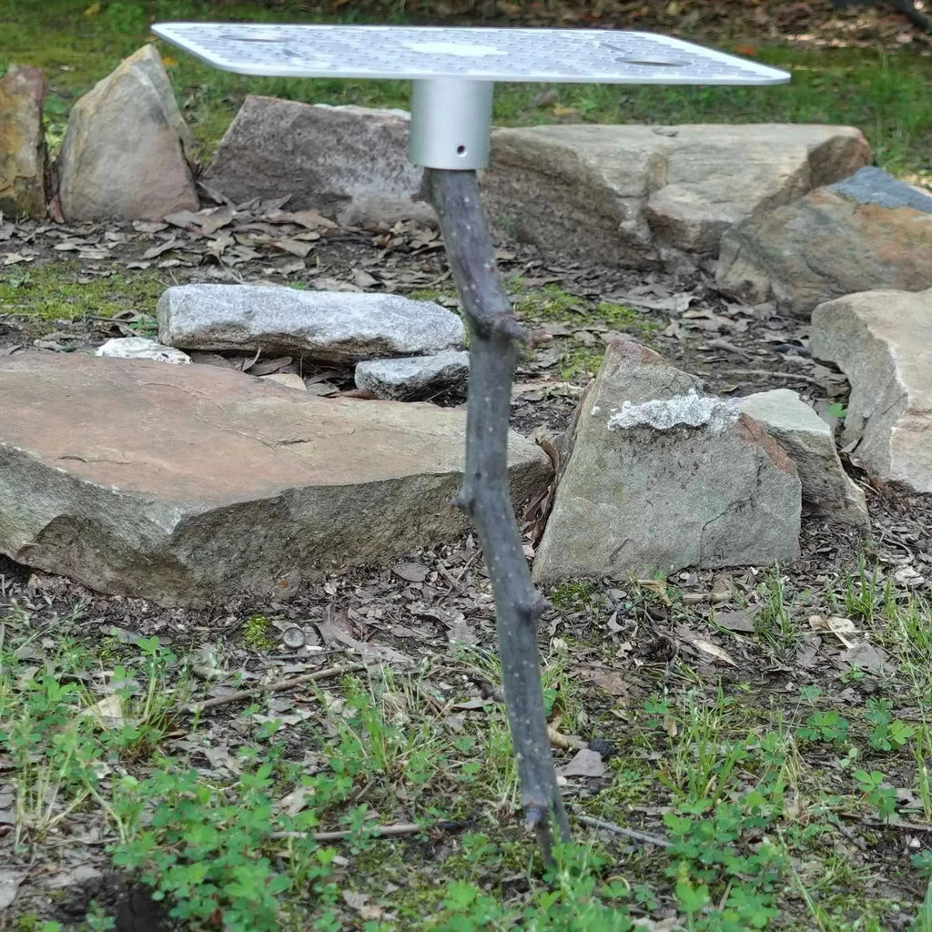 Worker Bee Camping Table - Keep Food & Drinks Off the Dirt
