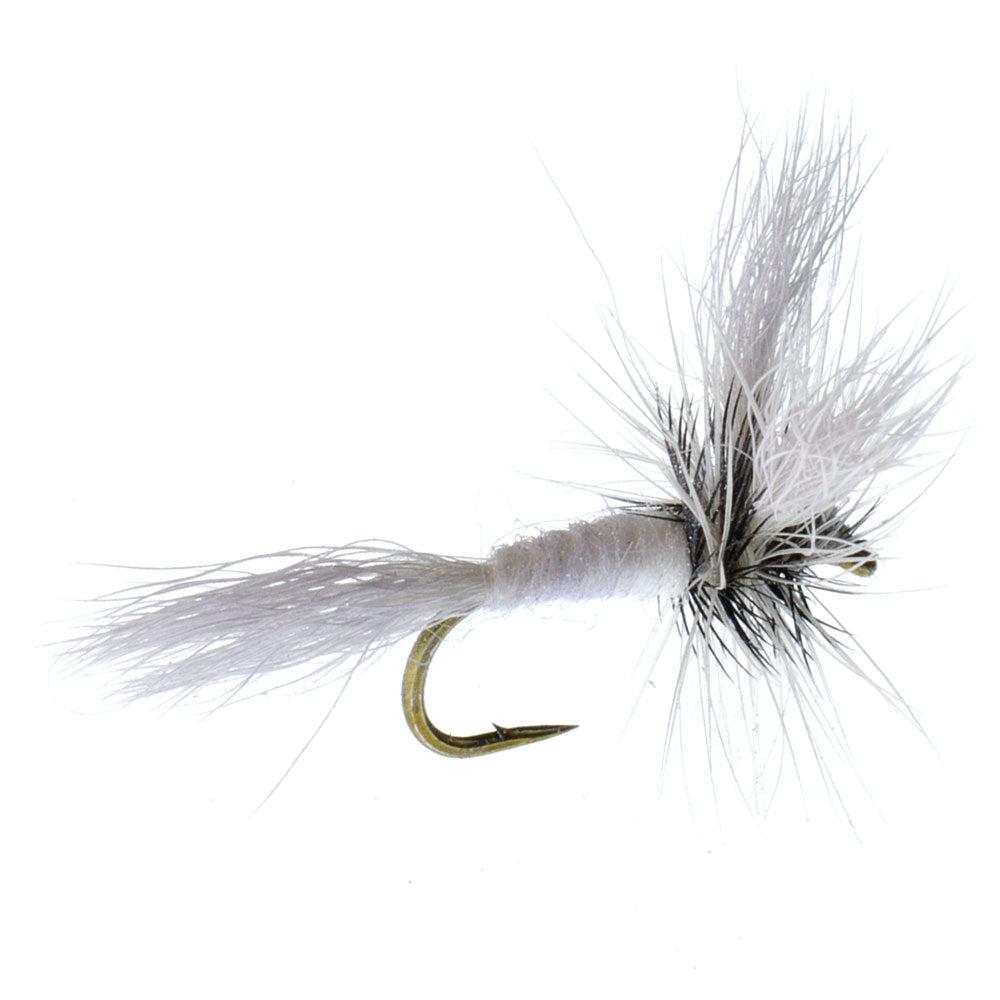 Barbless White Wulff Classic Hair Wing Dry Fly - 6 Flies Hook Size 12
