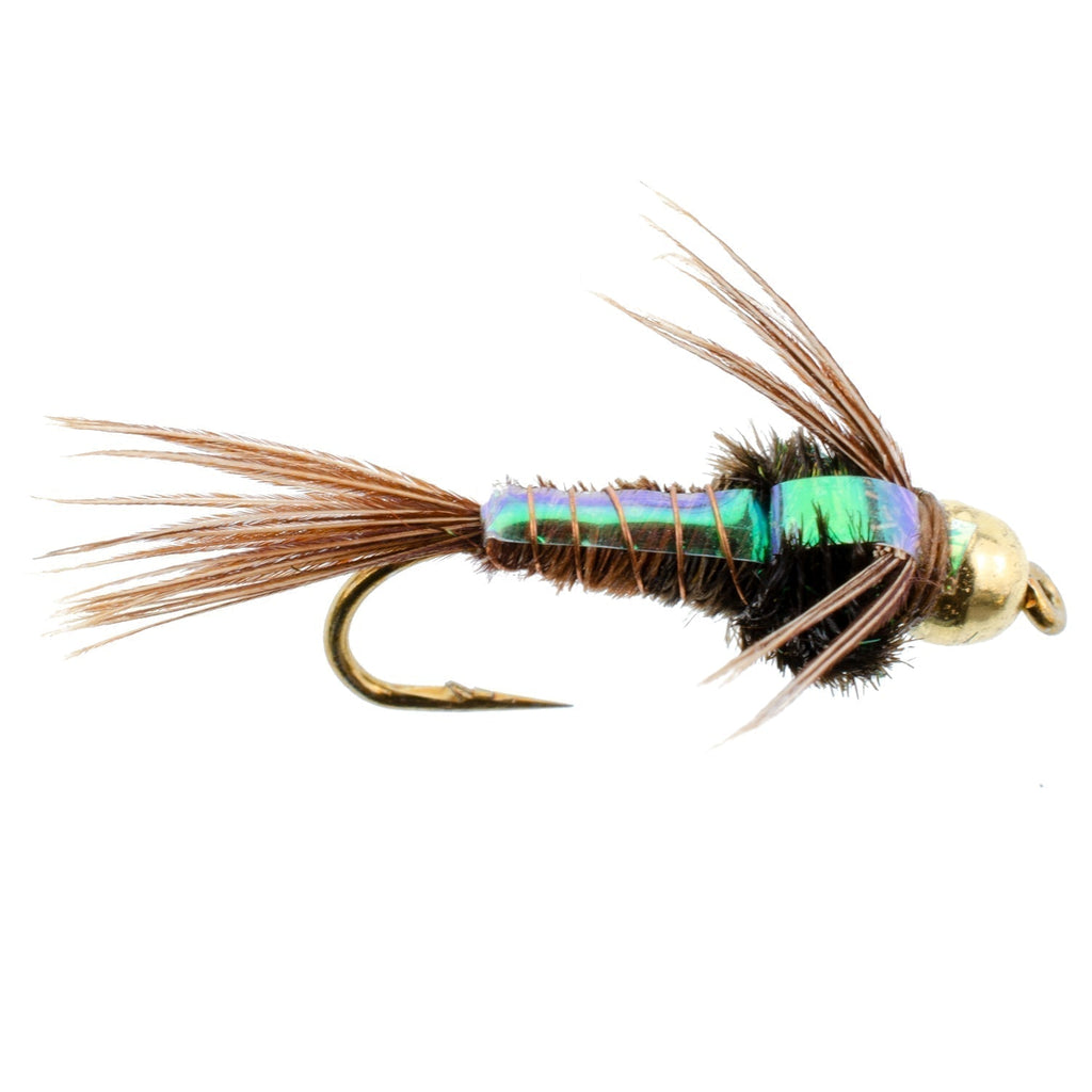 Tungsten Bead Head Flash Back Pheasant Tail Nymph 6 Flies Size 16