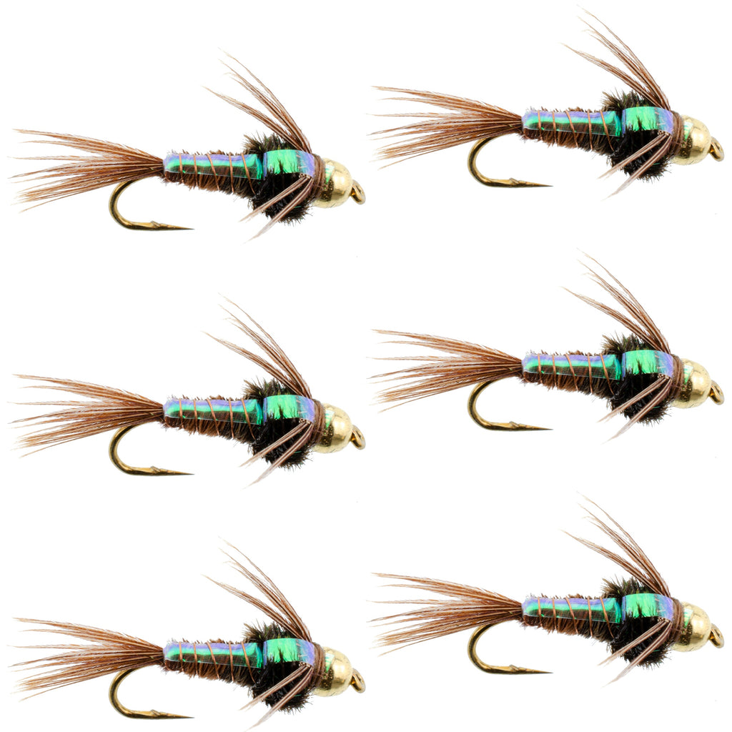 Tungsten Bead Head Flash Back Pheasant Tail Nymph 6 Flies Size 16