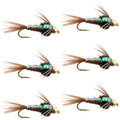 Tungsten Bead Head Flash Back Pheasant Tail Nymph 6 Flies Size 16