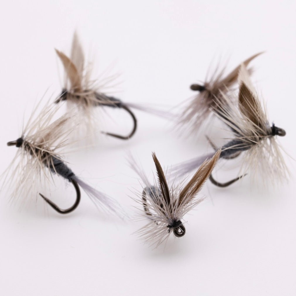 Blue Dun Fly