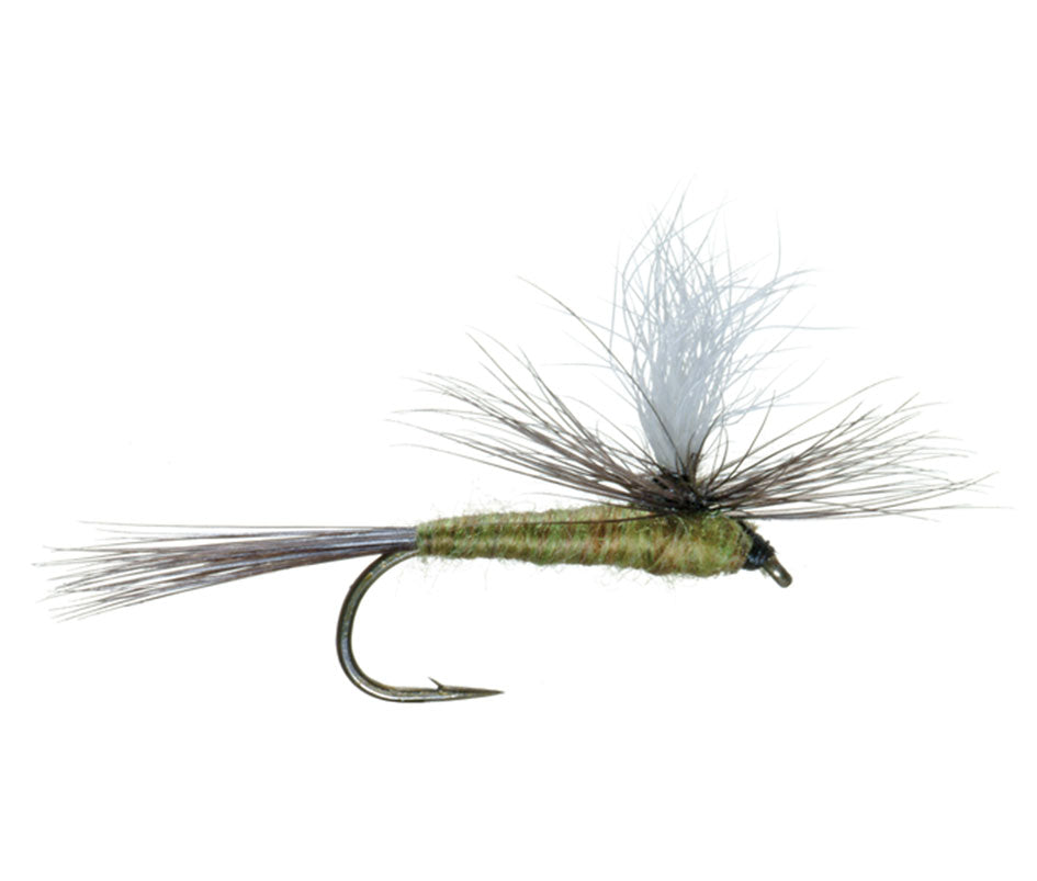 Essential 28 Fly Assortment Gift Set with Clear Fly Box – Perfect for Beginner or Advanced Fly Fishers (2 of Each Top Trout Pattern)