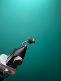 Brassie