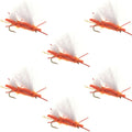 Chubby Chernobyl Ant Orange Foam Body Grasshopper Fly - 6 Flies Hook Size 10